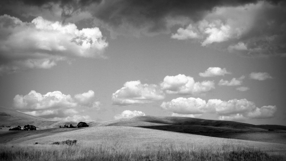 Remaining Ranch Land adjacent to new Dublin Development