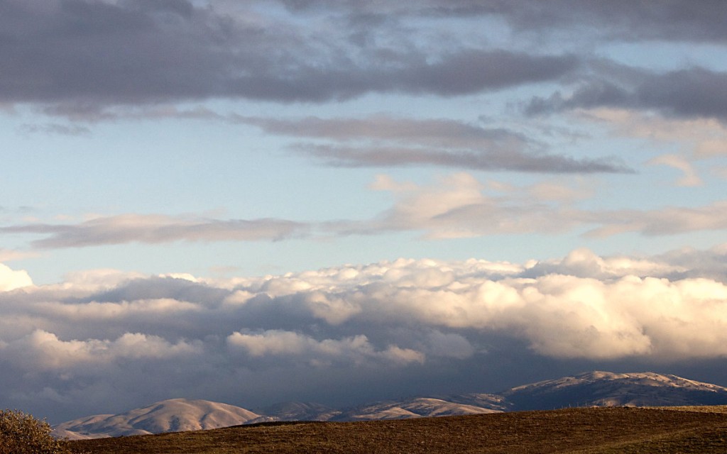 View toward Livermore from Fallon Road