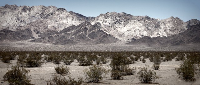 California Mojave Desert, 2012