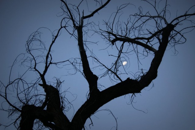 Moon in Zion Natl. Park at Sunrise