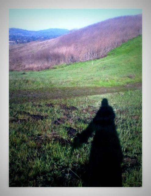 Long shadow out front in the early morning iPod picture with app