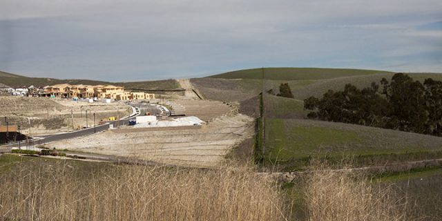 Ranch Land Meets New Development, Dublin, CA 3/2014